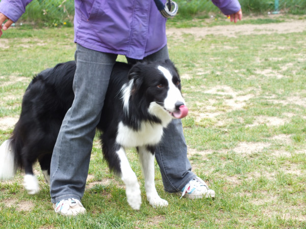 DSCF0313.jpg