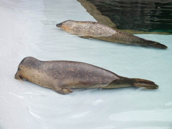 DSCF3061.jpg