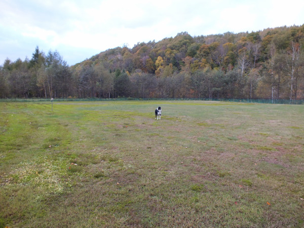 DSCF3065.jpg