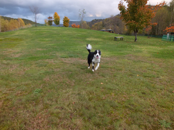 DSCF3067.jpg