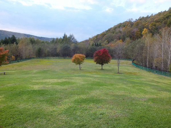 DSCF3071.jpg