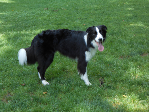DSCN0229.jpg