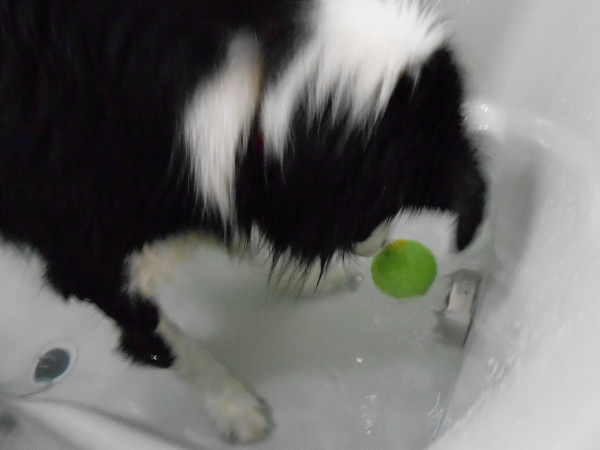 DSCN0234.jpg
