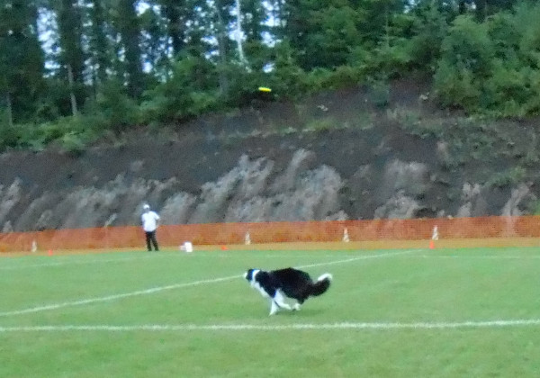 DSCN0277.jpg