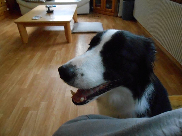 DSCN0302.jpg