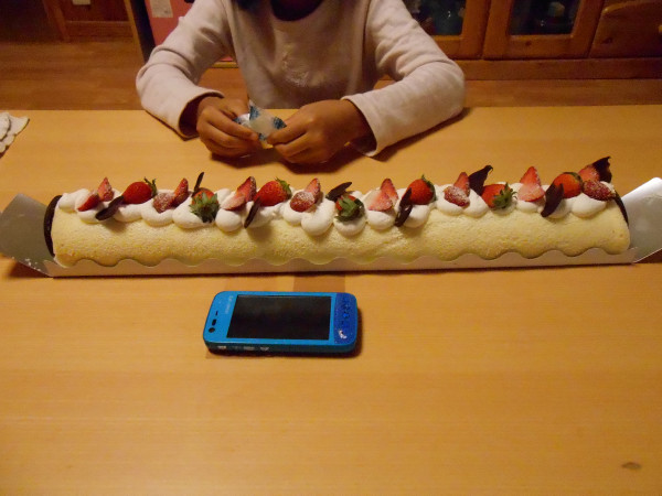 DSCN0340.jpg