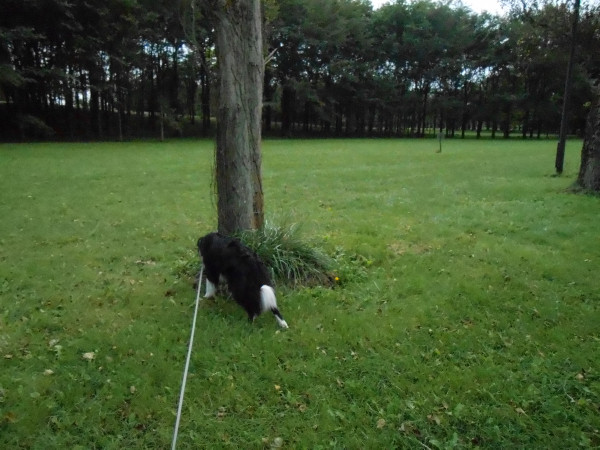 DSCN0363.jpg