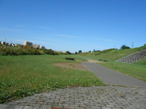 DSCN0381.jpg