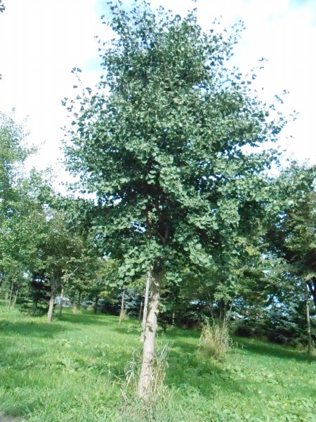 DSCN0388.jpg