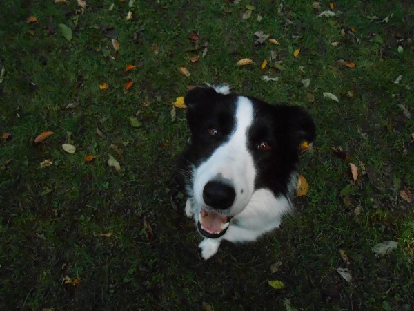 DSCN0426.jpg