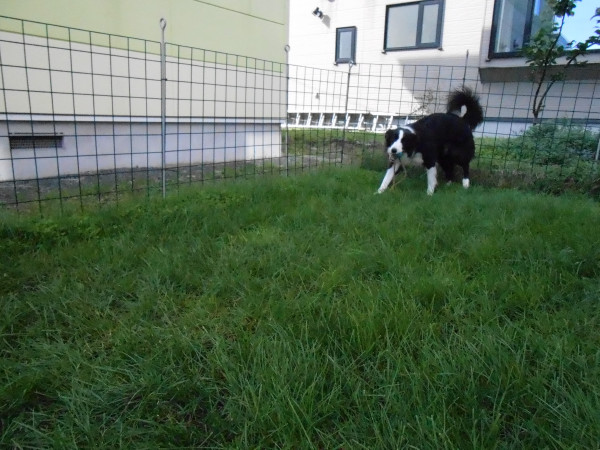 DSCN0438.jpg