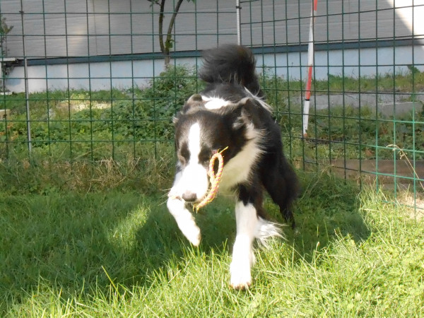 DSCN0462.jpg