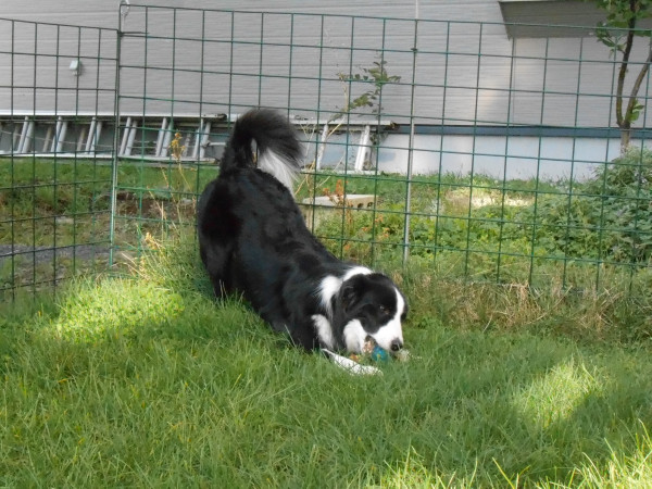 DSCN0464.jpg