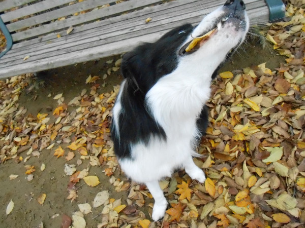 DSCN0482.jpg