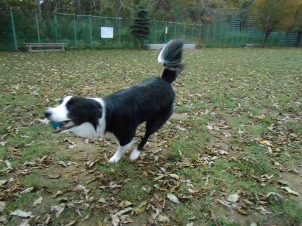 DSCN0490.jpg