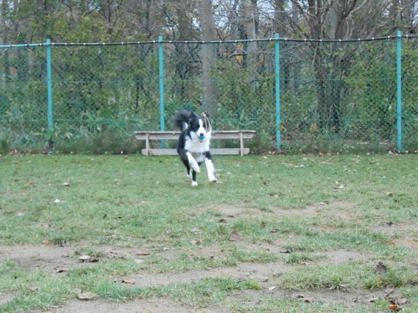 DSCN0515.jpg