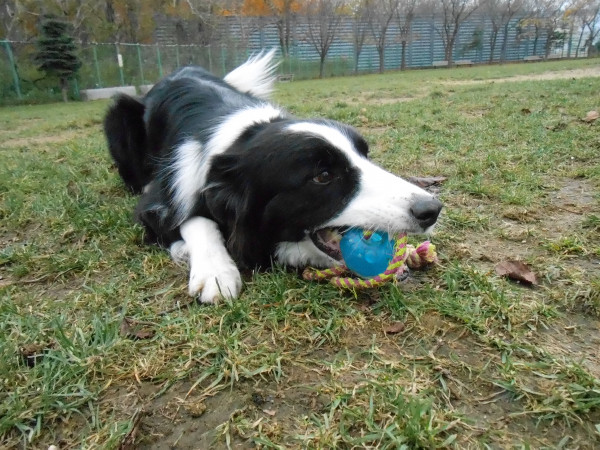 DSCN0522.jpg
