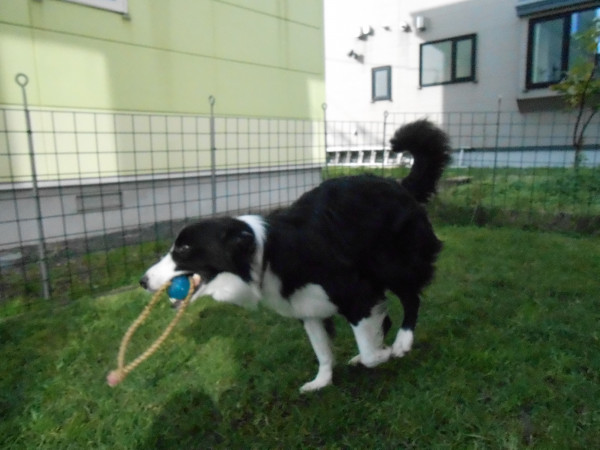 DSCN0537.jpg