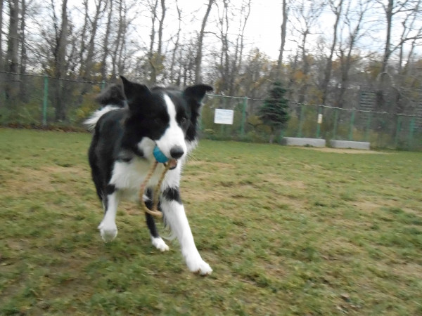DSCN0554.jpg