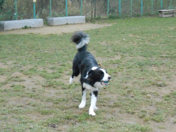 DSCN0560.jpg
