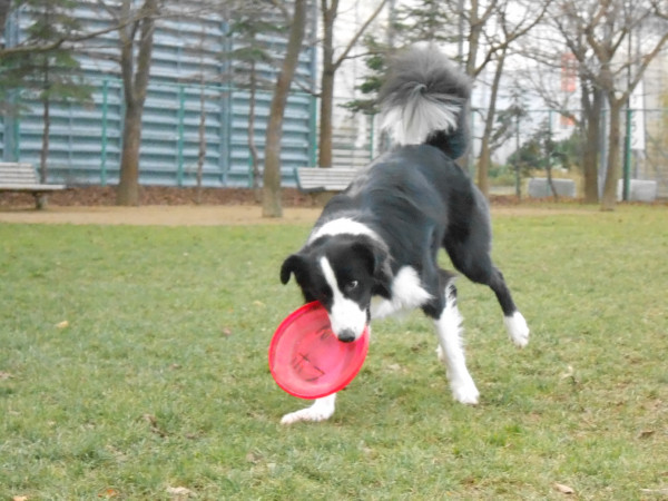 DSCN0565.jpg