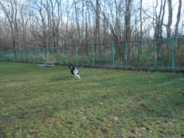 DSCN0595.jpg