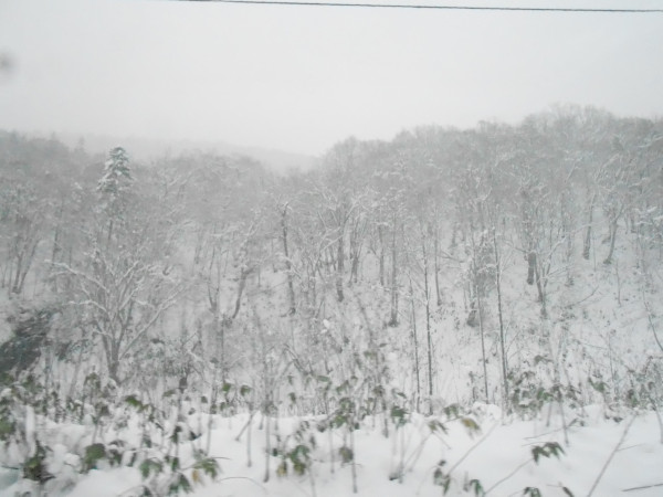 DSCN0602.jpg