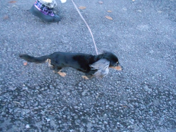 DSCN0610.jpg