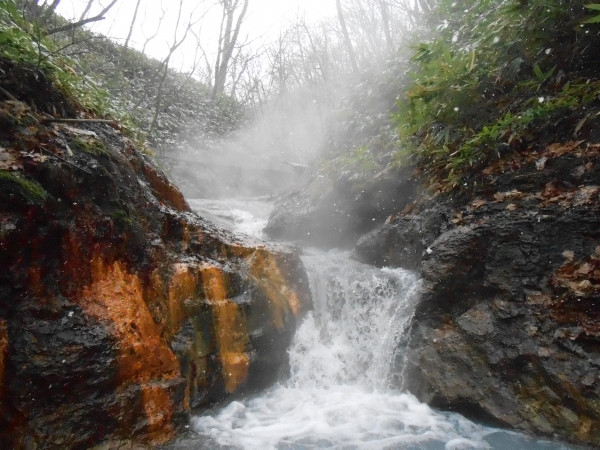 DSCN0636.jpg