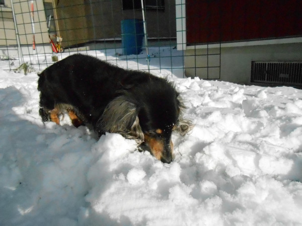 DSCN0644.jpg
