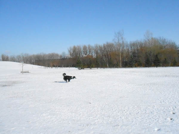 DSCN0648.jpg