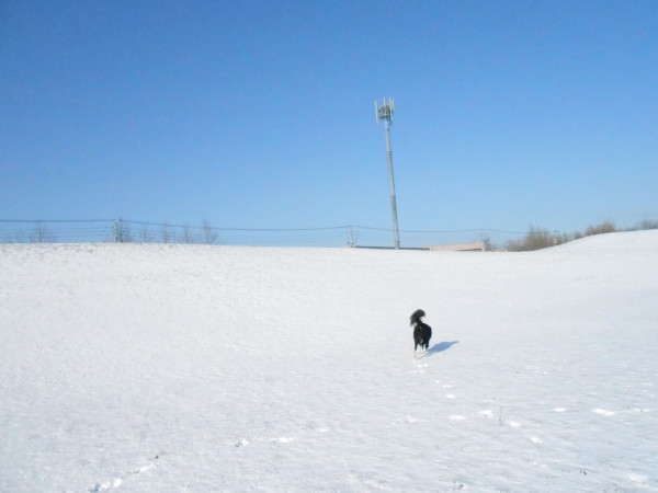 DSCN0654.jpg