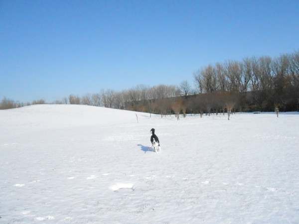 DSCN0655.jpg