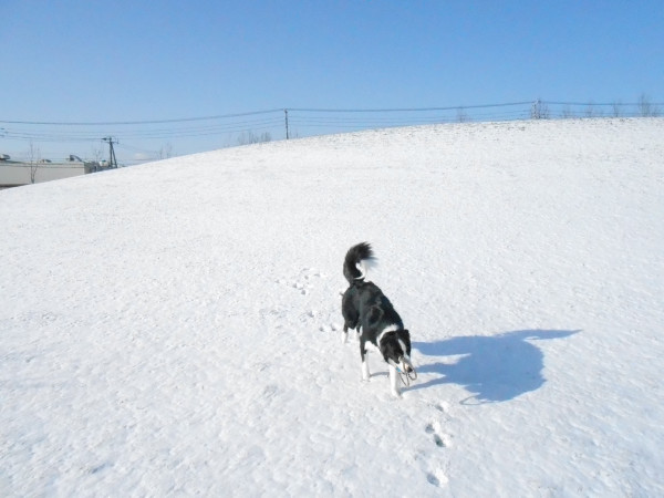 DSCN0656.jpg
