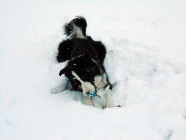 DSCN0704.jpg