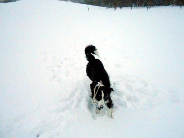 DSCN0706.jpg