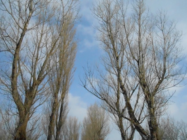 DSCN0720.jpg
