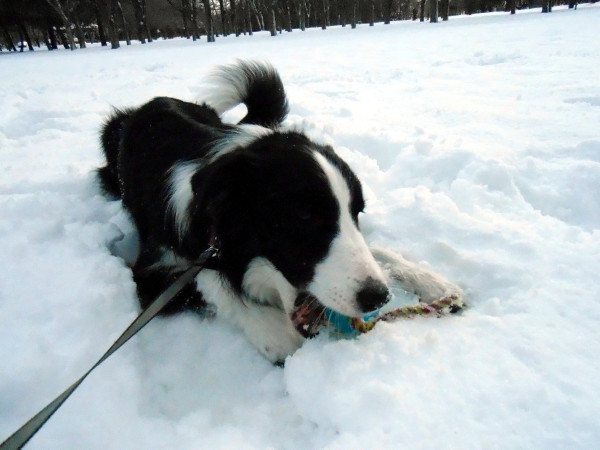 DSCN0721.jpg