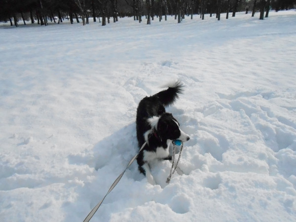 DSCN0724.jpg