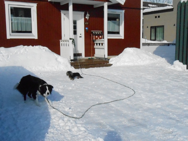 DSCN0739.jpg