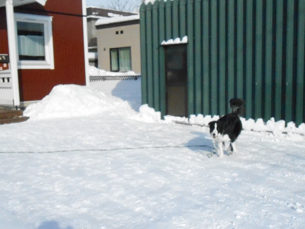 DSCN0740.jpg
