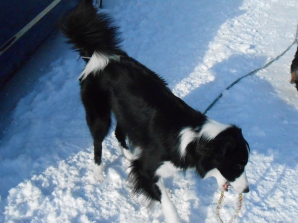 DSCN0741.jpg