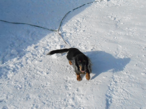 DSCN0745.jpg