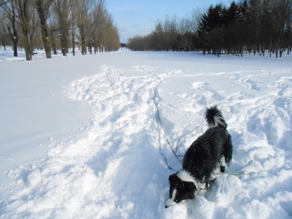 DSCN0748.jpg