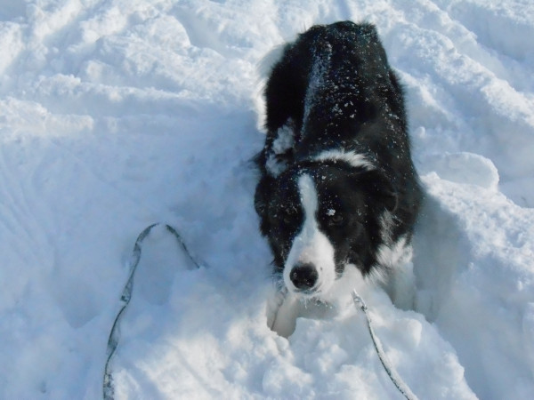 DSCN0749.jpg