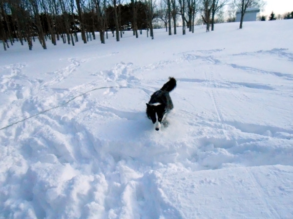 DSCN0750.jpg