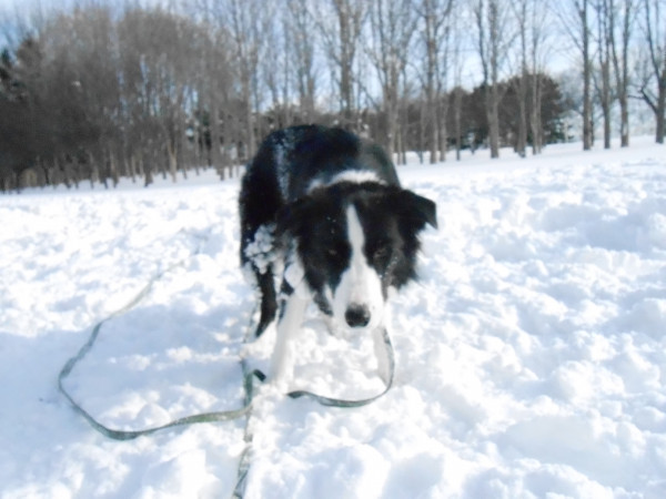 DSCN0753.jpg