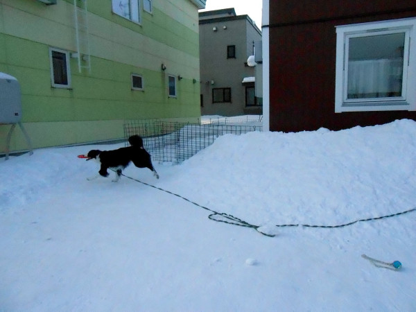 DSCN0799.jpg