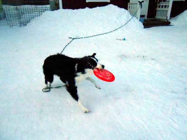 DSCN0800.jpg