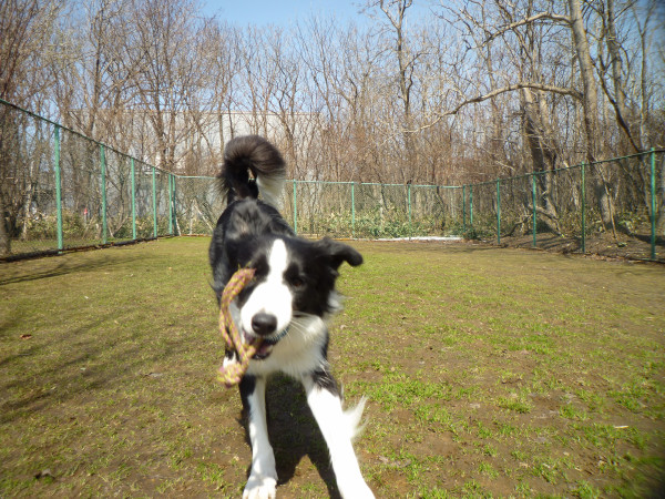 P1090314.jpg